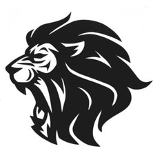 Ne Verelim Size Aslan Tasarımlı Oto Sticker Siyah 30*25 cm