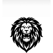 Ne Verelim Size Aslan Tasarımlı Oto Sticker 40*40 cm