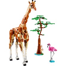 LEGO® Creator Vahşi Safari Hayvanları 31150 - 9 Yaş ve Üzeri Çocuklar için İnşa Edilebilen Zürafa, Ceylan ve Aslan Model Seçenekleri İçeren 3'ü 1 Arada Yaratıcı Oyuncak Yapım Seti (780 Parça)