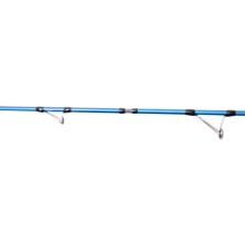 Ryuji Shore Game Fuji 295 cm 30-100GR 2 Parça Shore Jig Kamış