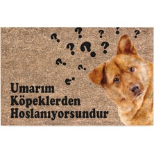 Monnhein Kedi Köpek Komik Tasarımlı Dekoratif Kapı Önü Paspas, Dış Mekan/ev Içi/banyo/mutfak/yatak Odası/giriş Paspasları