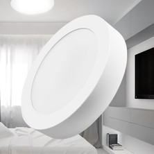 Braytron BP03-31800-BRY 18W 3000K S.üstü Yuvarlak LED Panel Günışığı 2'Lİ PAKET