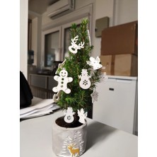 Internos Design 7'li Yılbaşı Ağaç Süsleri