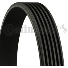 Contıtech 6PK836 6PK836 V Kayışı Master 98-00 2.8 Dtı S9W