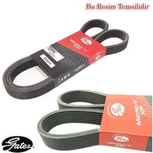 Gates 6DPK1352 6DPK1352 Kanallı Kayış Bora Golf 2.3-2.8 10V 24V 98-03 Seat Toledo 2.3 10V 98-01