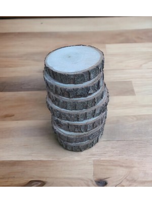 Aytül Erel Tasarım Doğal Ahşap Odun Dilimi 20 Adet