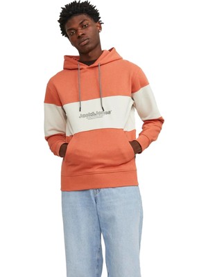 Jack & Jones Erkek Sweatshirts 12246802 12246802067