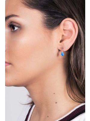 Sunshine 925 Ayar Gümüş Küpe SKU0294