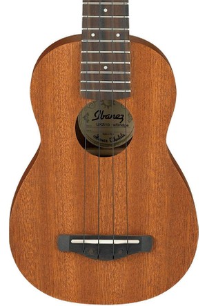 Ibanez ukulele store case