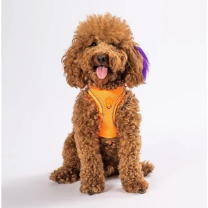 Neon Turuncu Air-mesh Göğüs Tasması Kedi Köpek Göğüs Tasması