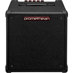P20-U 20W Kombo Bas Gitar Amfisi