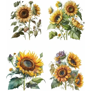 My Hobby Sulu Transfer LNT-205 25X35 cm