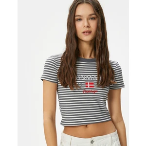 Crop Tişört Ribanalı Slim Fit Işleme Detaylı Kısa Kollu Bisiklet Yaka