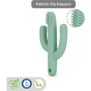 Meleni Baby Kaktüs Bebek Diş Kaşıyıcı - Bebek Diş Kaşıma Dişlik Yeşil