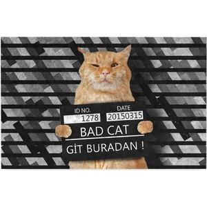 Kedi Köpek Komik Tasarımlı Dekoratif Kapı Önü Paspas, Dış Mekan/ev Içi/banyo/mutfak/yatak Odası/giriş Paspasları