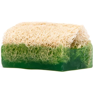 Aloe Vera Kabak Lifli Sabun