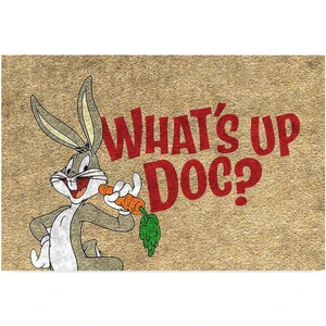 Kedi Köpek Komik Tasarımlı Dekoratif Kapı Önü Paspas, Dış Mekan/ev Içi/banyo/mutfak/yatak Odası/giriş Paspasları