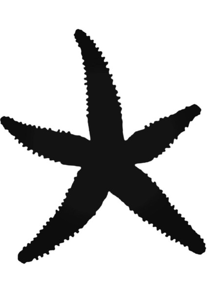 Zeester 2 Oto Sticker 20 cm