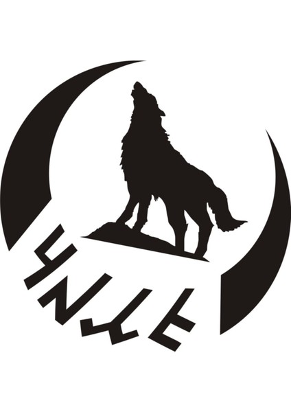 Göktürkçe Türk Yazılı Bozkurt ve Hilal Oto Sticker Siyah 25*25 cm