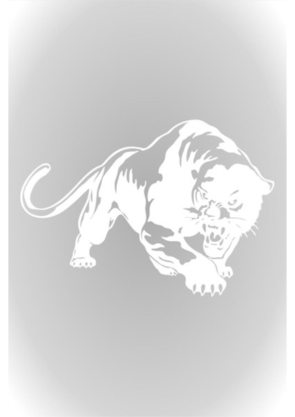 Panter Tasarım Oto Cam Sticker Beyaz 30 cm
