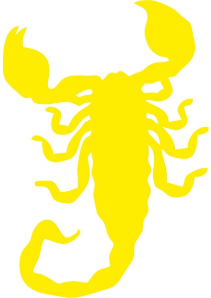 Akrep Oto Sticker Sarı 15*11 cm