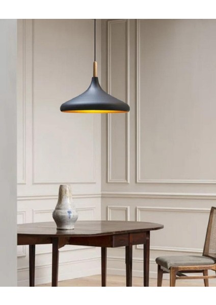 Mylights ıdır Metal Siyah Sarkıt Avize Modern Spor Avize 35CM Salon Mutfak Koridor Cafe Restorant Yatak Odası