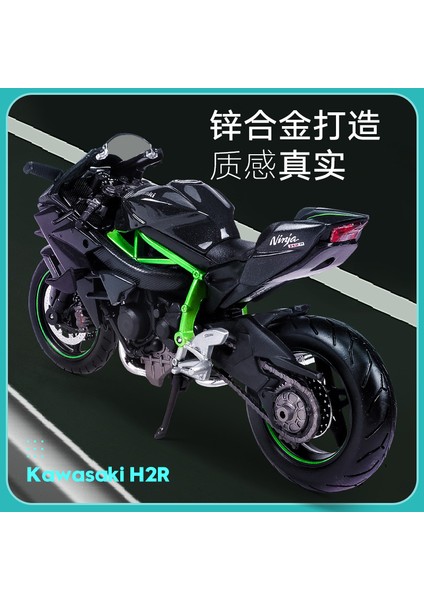 Meritor Şekil 1: 12 Kawasaki Ninja Ducati 1199 Büyük Şeytan Yamaha Motosiklet Modeli Simülasyon Alaşımı Honda CBR1000RR-R Fire Blade (Yurt Dışından)