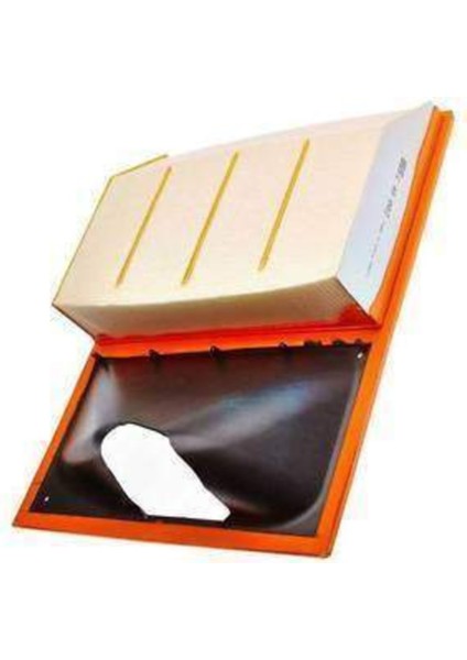 A1717 Hava Filtresi Daıly 11-