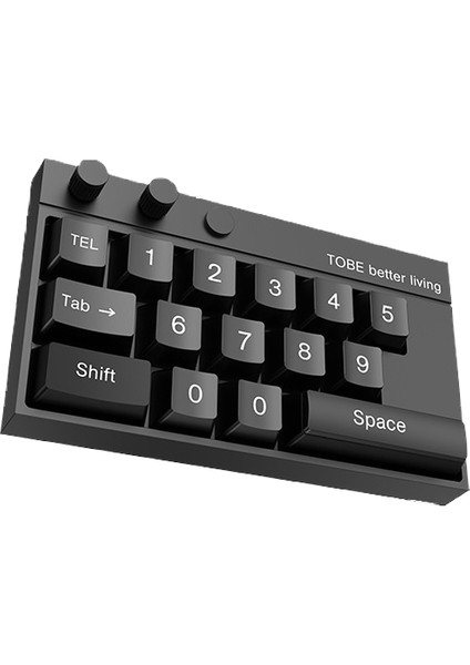 Araba Geçici Park Süsü Plaka (Yurt Dışından)