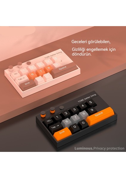 Araba Geçici Park Süsü Plaka (Yurt Dışından) fiyatları