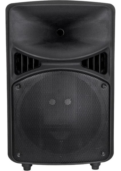 38 cm 15 Inç Boş Plastik Hoparlör Kabini fiyatları