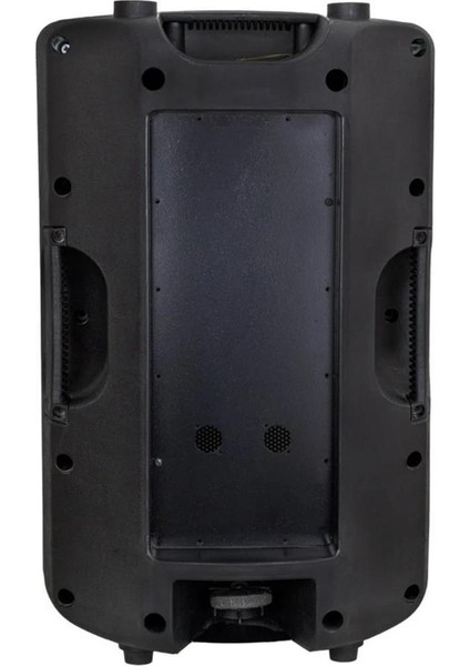 38 cm 15 Inç Boş Plastik Hoparlör Kabini modelleri