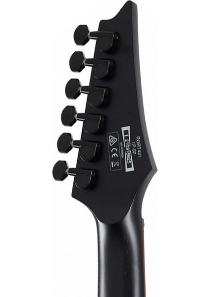 RGRT421-WK RG Elektro Gitar indirimleri