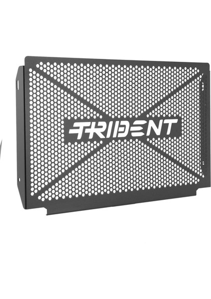 Motosiklet Aksesuarları Siyah Radyatör Izgarası Koruma Kapak Koruyucu Triumph Trident 660 2021 Ila 2022 (Yurt Dışından)