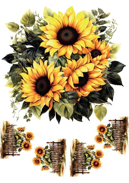 Myhobby Sulu Transfer Sml-65 25X35 cm