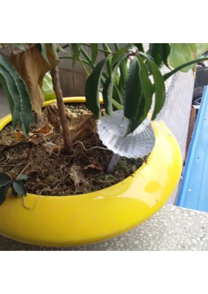 Helloworld Sulama Kabı Uzun Ömürlü Gerçekçi Şemsiye Kendi Kendine Sulayan Spikes Cihazları (Yurt Dışından) indirimleri