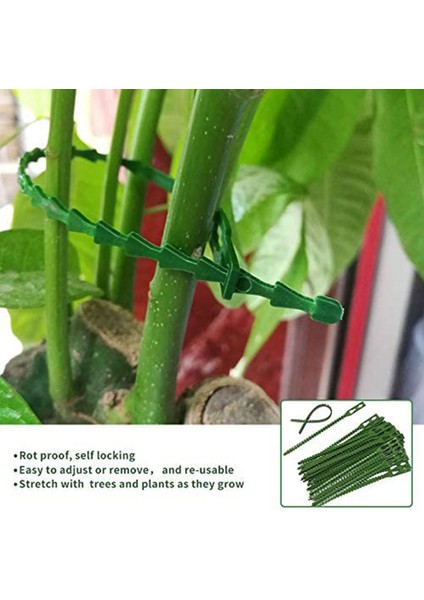 Bitki Destekleri-30 x Büyük Bitki Klipsi 30 x Küçük Klips 60 x Ayarlanabilir Bitki Büküm Bağı-Yeşil (Yurt Dışından)