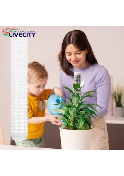 Bitki Tırmanma Direği Delikli Tasarım Su Yosunu Sütun Desteği (Yurt Dışından) modelleri