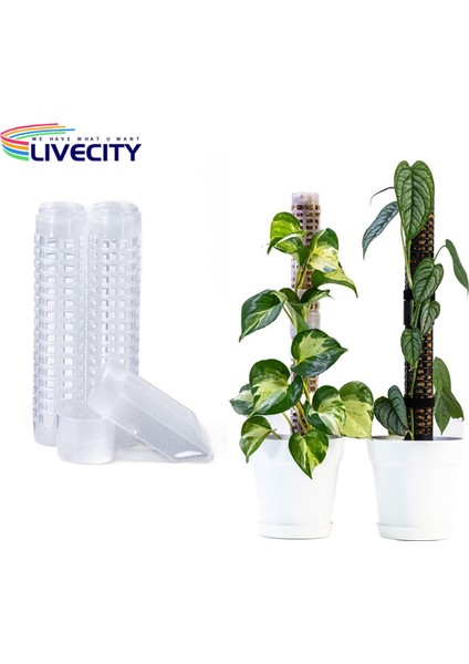 Bitki Tırmanma Direği Delikli Tasarım Su Yosunu Sütun Desteği (Yurt Dışından) fırsatları