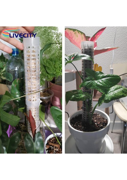 Bitki Tırmanma Direği Delikli Tasarım Su Yosunu Sütun Desteği (Yurt Dışından) indirimleri