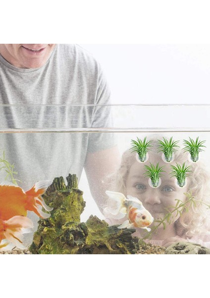 Xhhdqes 20 Adet Hava Tesisi Tutucu (Bitkiler Dahil Değil) ve 30 Adet Süper Hassas Yosun Köpük Taş Bitki Saç Yosun Topu (Yurt Dışından)