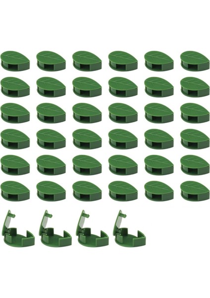 40 Parça Bitki Tırmanma Duvarı Armatürü, Çekiş Klipsi, Ev Dekoru Için (Yurt Dışından) modelleri