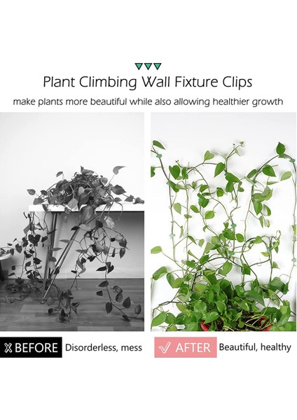 Bitki Tırmanma Duvarı Armatür Klipsleri Görünmez Duvar Sarmaşıkları Sabitleme Klipsleri (Yurt Dışından) modelleri