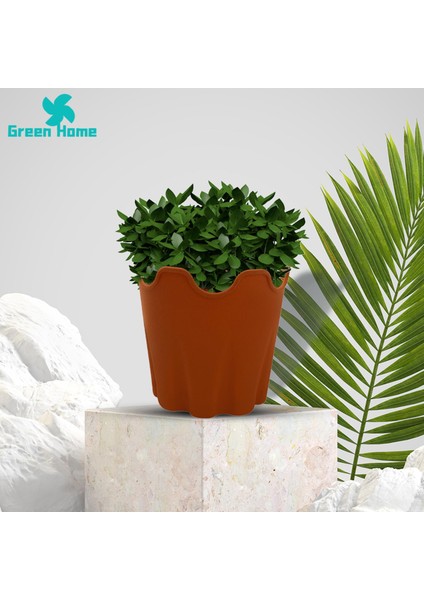 Yeşil Ev Saksı Geniş Uygulama Dış Mekan Bitkileri Silikon Çiçek Kabı (Yurt Dışından) modelleri