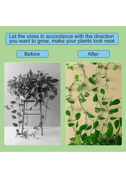 100 Adet Bitki Tırmanma Duvarı Fikstürü Klip Bahçe Yeşil Yaprak Braketi (Yurt Dışından) indirimleri