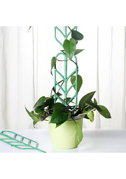 3 Adet Bahçe Tırmanma Bitki Pot Destek Rafı Çiçek Yaprak Sarmaşıklar Plastik Kafes (Yurt Dışından) indirimleri