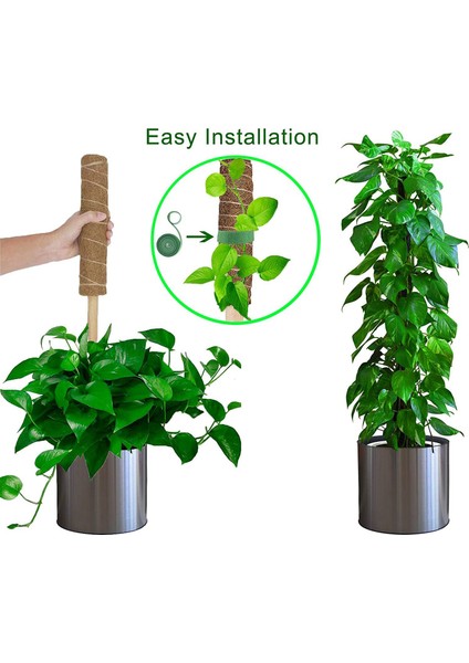 Hindistan Cevizi Yosunu Totem Uzatma Çubuğu - 2 x Hindistan Cevizi Totem Direği 2 x Bahçe Destek Bağları (Toplamda 4 M) - Kahverengi (Yurt Dışından)