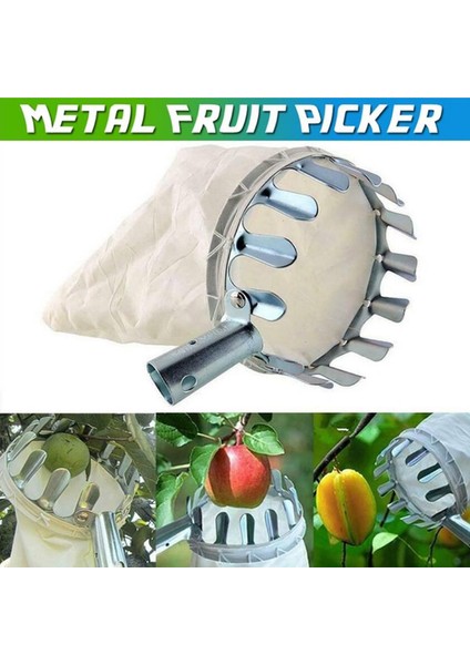 Metal Meyve Seçici Yakalayıcı Bahçecilik Şeftali Uygun Yüksek Ağaç Toplama Aracı Güneş Işığı Süper Mağaza (Yurt Dışından)