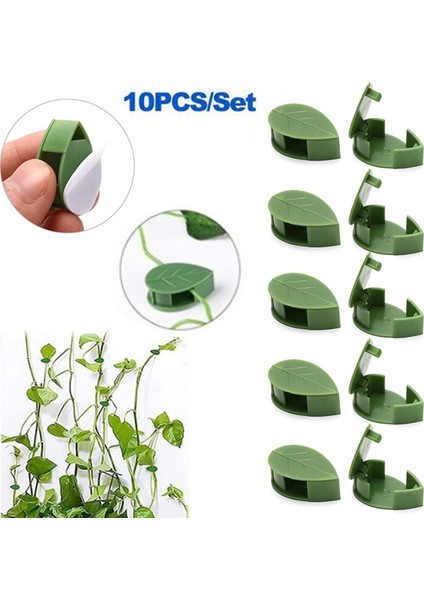 10 Adet Bitki Tırmanma Duvarı Armatürü Rattan Asma Braketi Sabit Toka Klipler Tutucu Karşılaşma (Yurt Dışından)