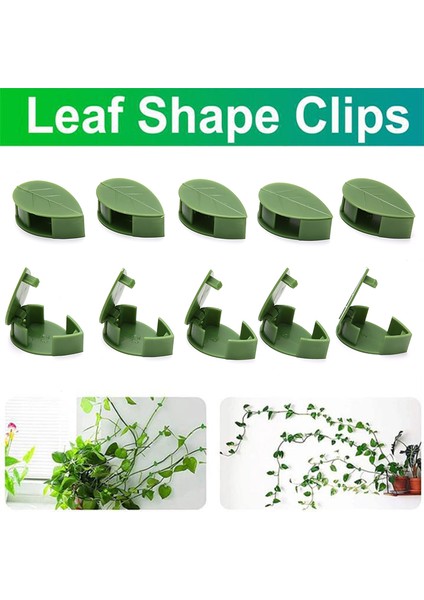 10 Adet Bitki Tırmanma Duvarı Armatürü Rattan Asma Braketi Sabit Toka Klipler Tutucu Karşılaşma (Yurt Dışından) modelleri